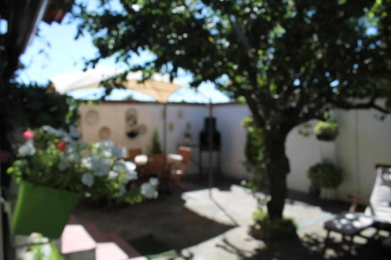 Alojamiento La Olmedana Olmedo Exterior photo